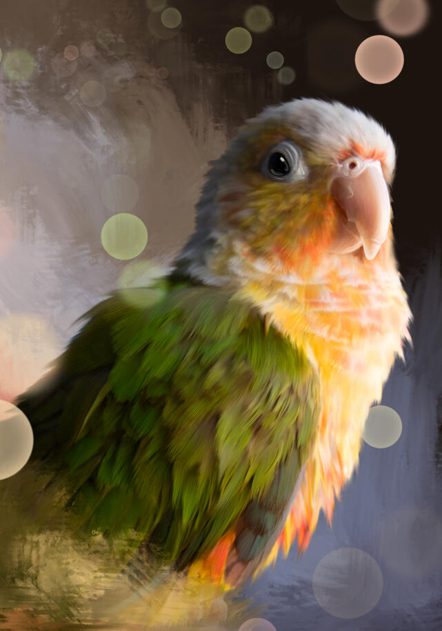 PET PORTRAITS