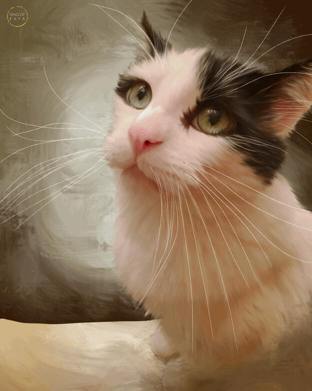 Kitty