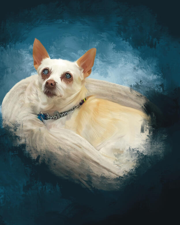 Senior Dog