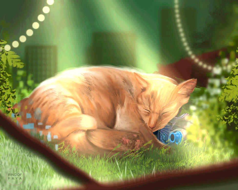 Stray